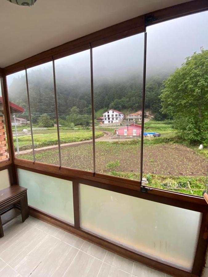 Talipoglu Apart Aparthotel Uzungol Exterior photo