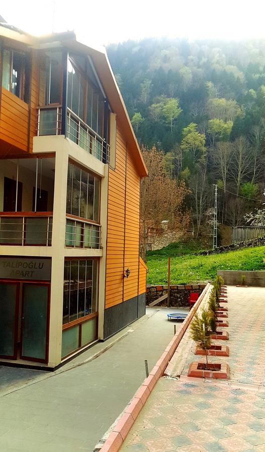 Talipoglu Apart Aparthotel Uzungol Exterior photo