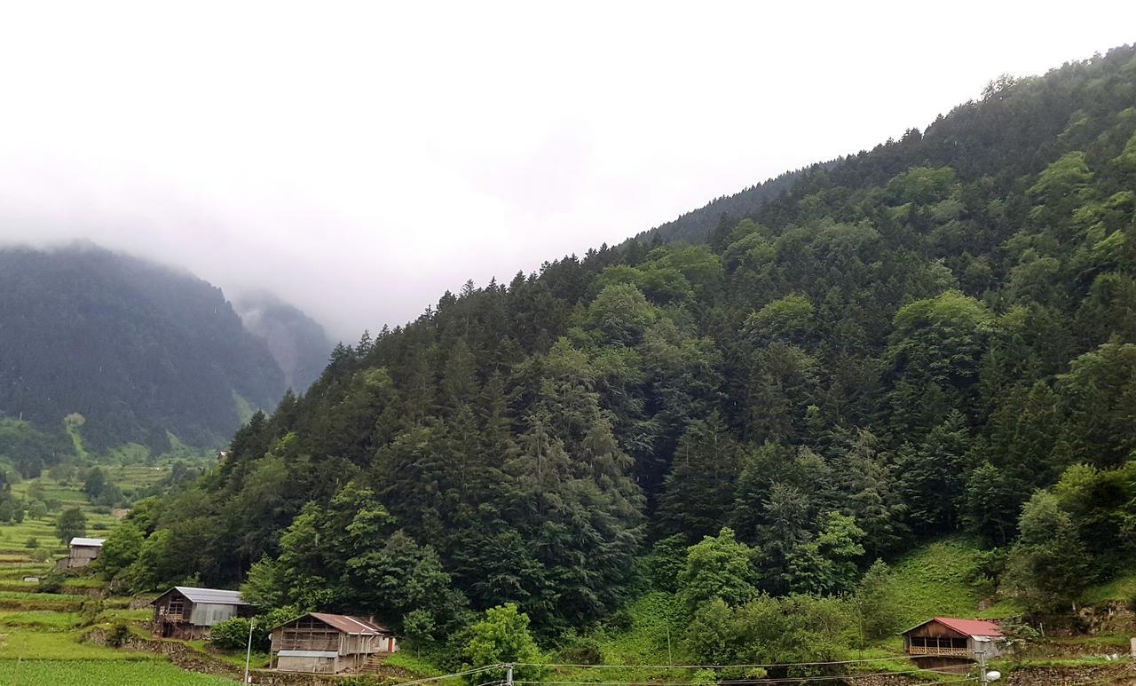 Talipoglu Apart Aparthotel Uzungol Exterior photo