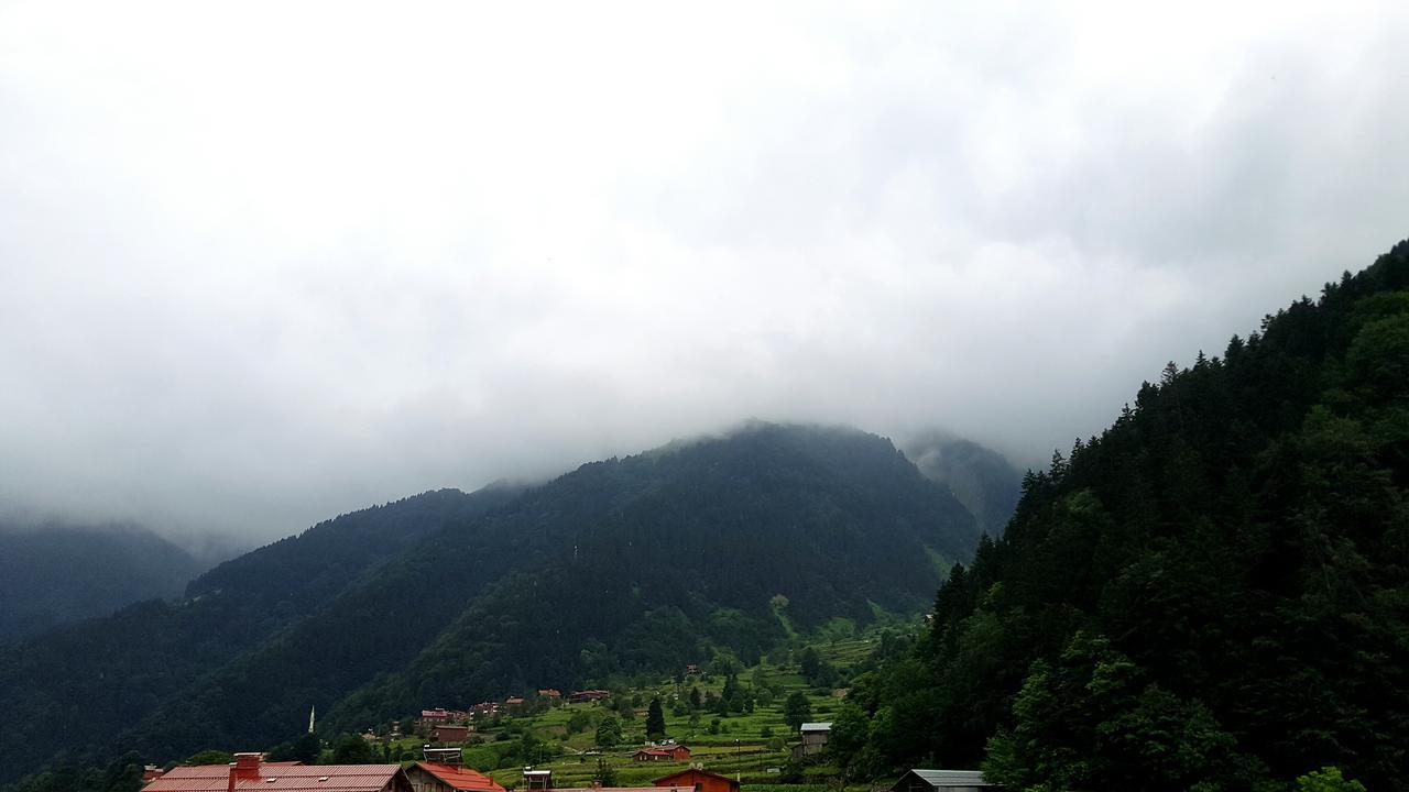 Talipoglu Apart Aparthotel Uzungol Exterior photo